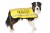 NERVOUS DOG, Dog Coat. Dog awareness and Safety Coat, Yellow colour coded.