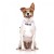 BLIND DOG, Dog Vest Harness White Colour Code