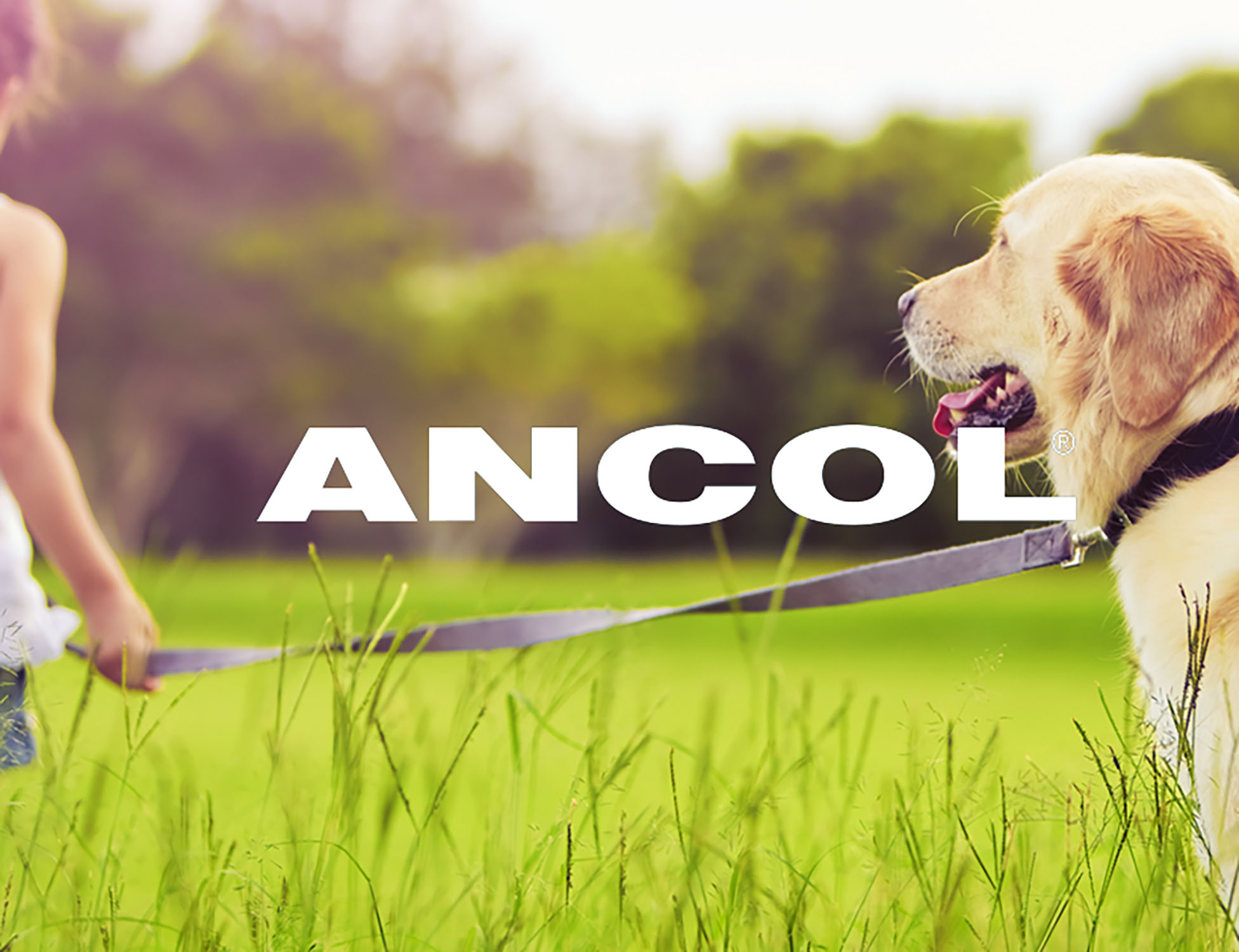 Ancol Pet Products
