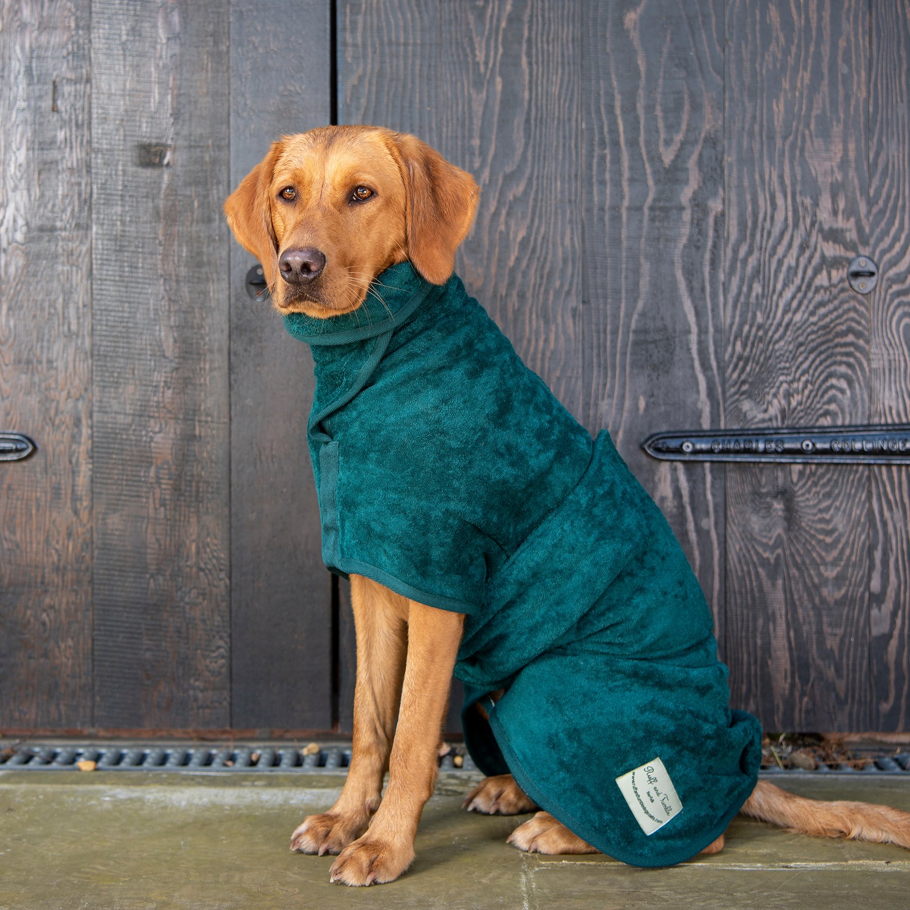 Pet Drying Products
