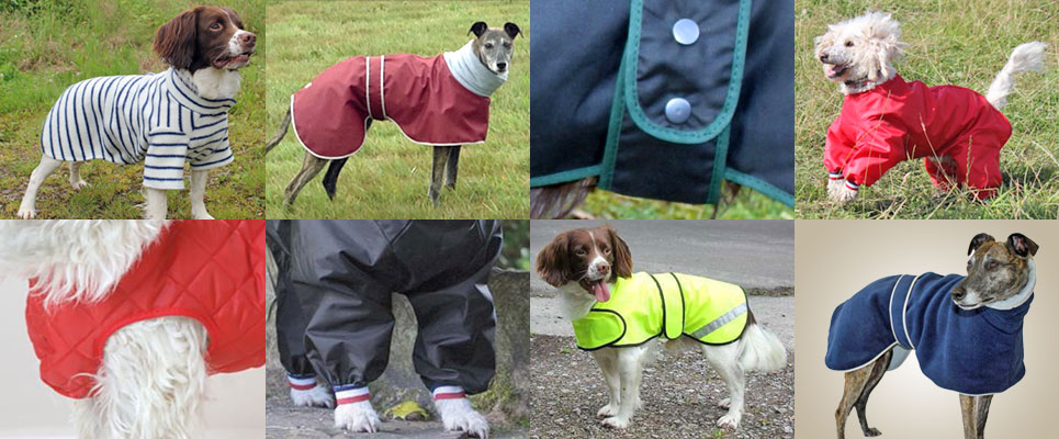 dog coats