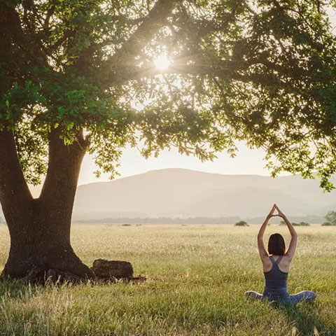 yoga and fitness