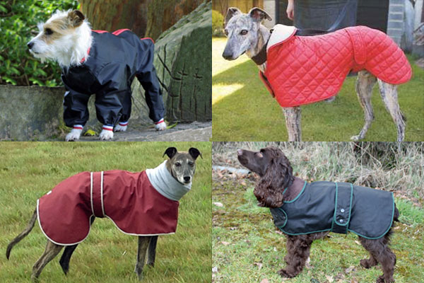 dog coats