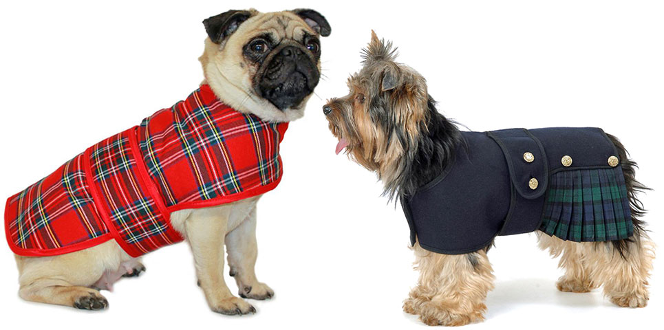 tartan dog coats