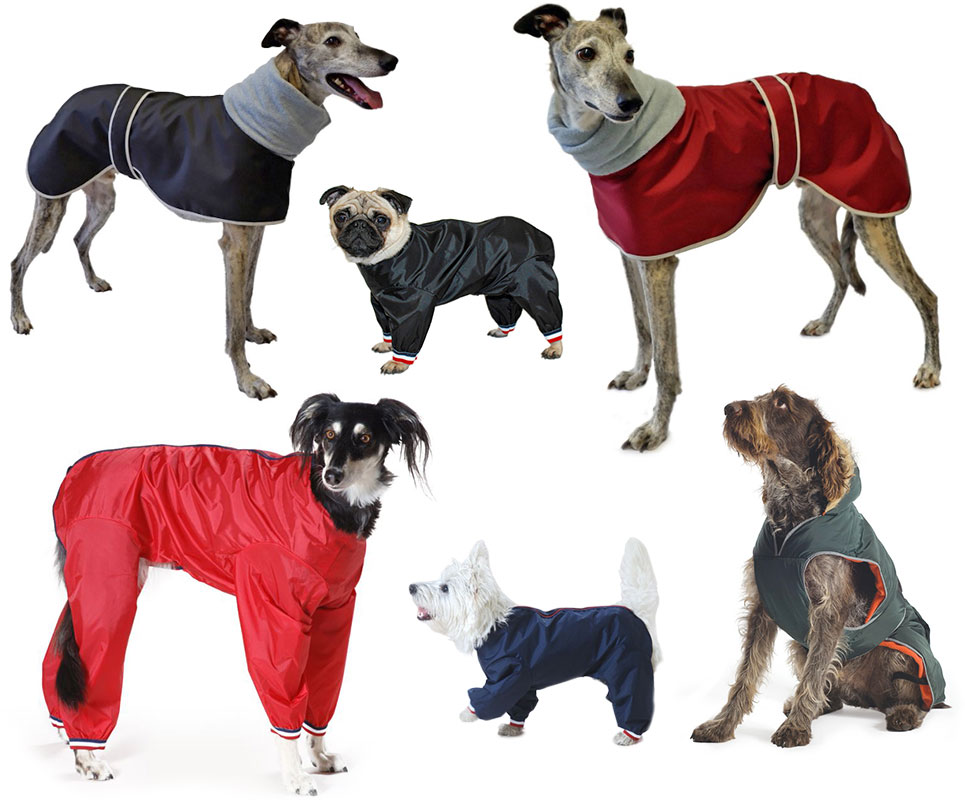 weatherproof dog coats