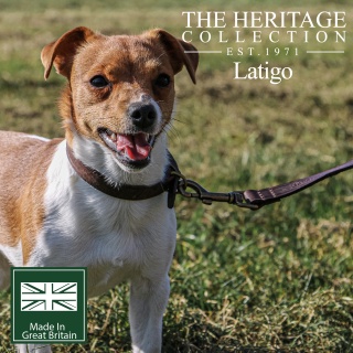 Ancol Heritage Latigo Leather Dog Collar