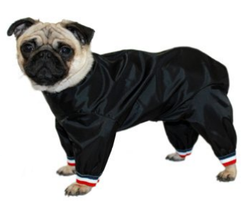Waterproof dog best sale coats legs bichon