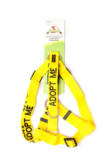 ADOPT ME DOG,  Dog Strap Harness Yellow Colour Coded