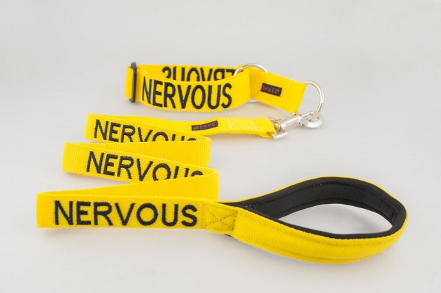 NERVOUS DOG,  Dog Lead Leash with padded Handle  Yellow Colour Coded