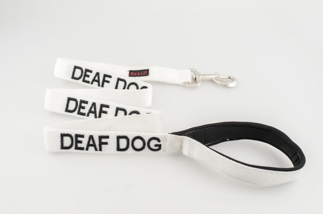 DEAF DOG,  Dog Lead Leash with padded Handle  White Colour Coded