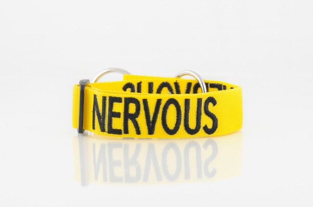 NERVOUS DOG, Dog collar Semi Choke and Buckle Collars Yellow Colour Code