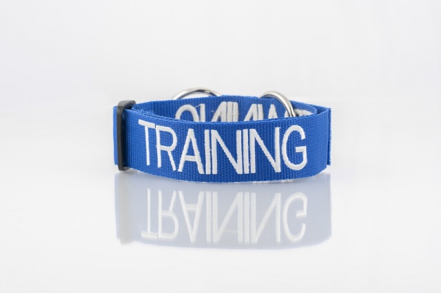 TRAINING DOG, Dog collar Semi Choke and Buckle Collars Blue Colour Code