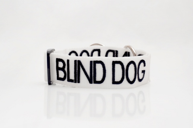 BLIND DOG, Dog collar Semi Choke and Buckle Collars White Colour Code