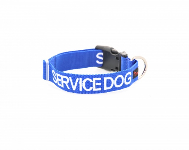 SERVICE DOG, Dog collar Semi Choke and Buckle Collars Blue Colour Code