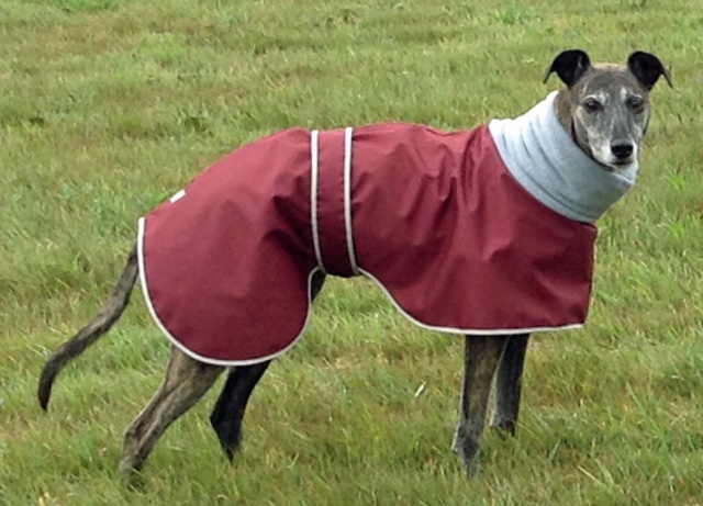 Greyhound Polo Waterproof Dog Coat Thermal Fleece