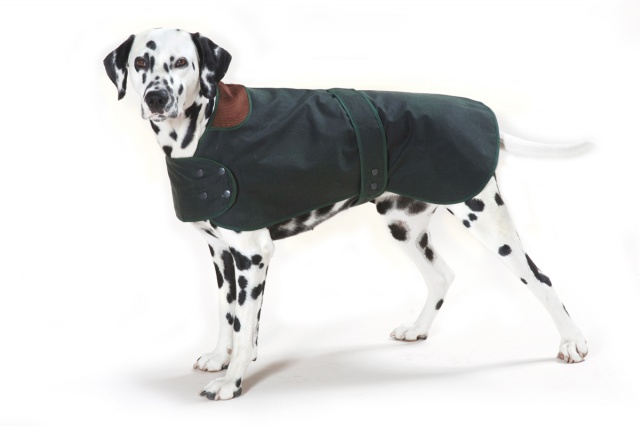 Traditional Hunter Green Waxed  Dog Coat