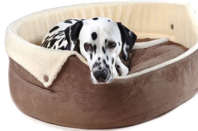 Chelsea Button-Down Dog Bed