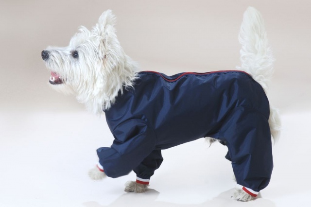 Waterproof Nylon Full Leg Dog Suit (Dog Coat) in Black, Navy or Red