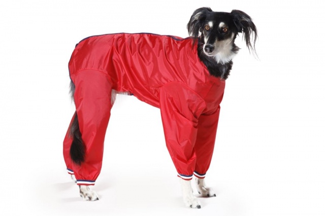 Waterproof Nylon Full Leg Dog Suit (Dog Coat) in Black, Navy or Red