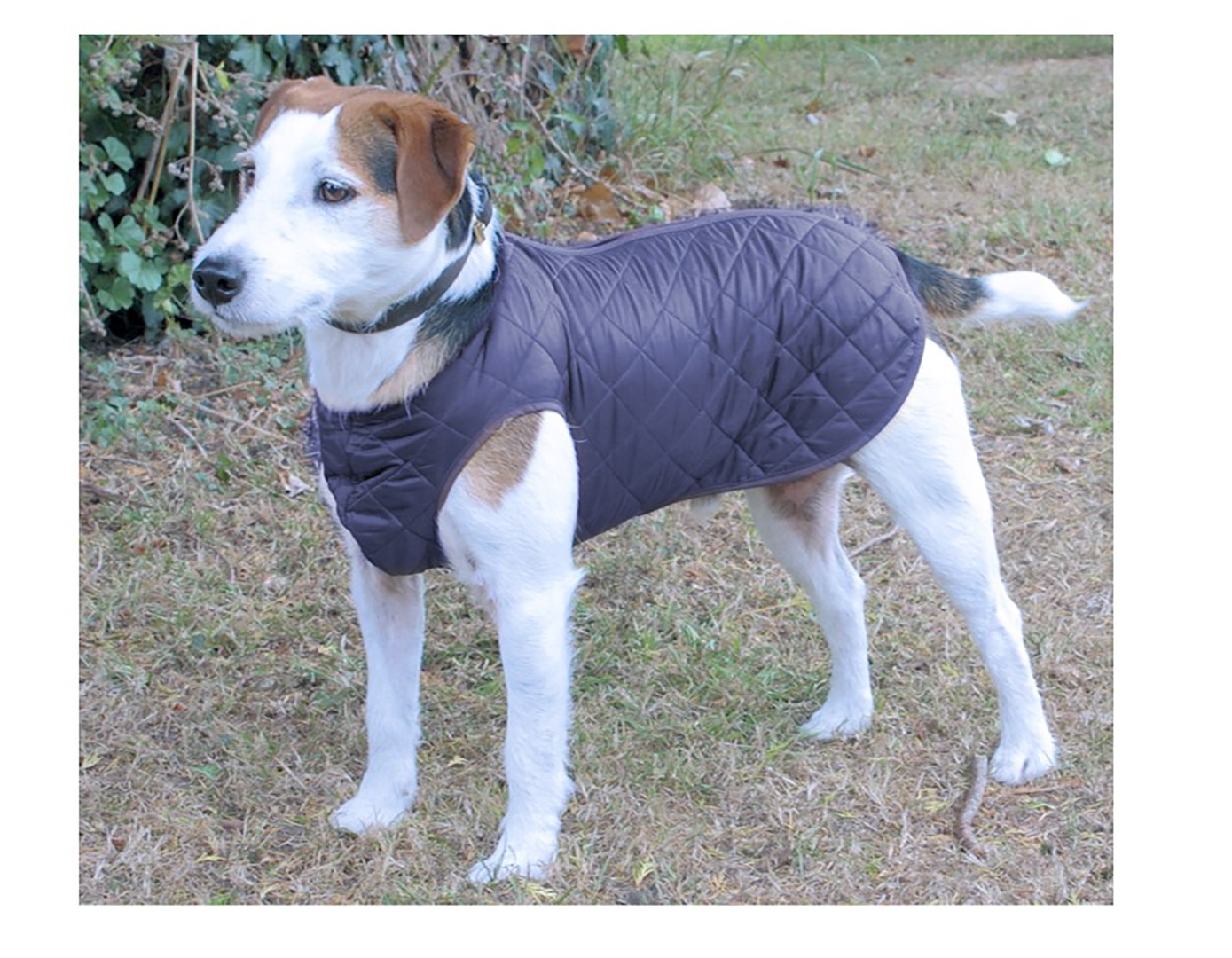 Showerproof All-in-one Quilted Step-in Suit Dog Coat