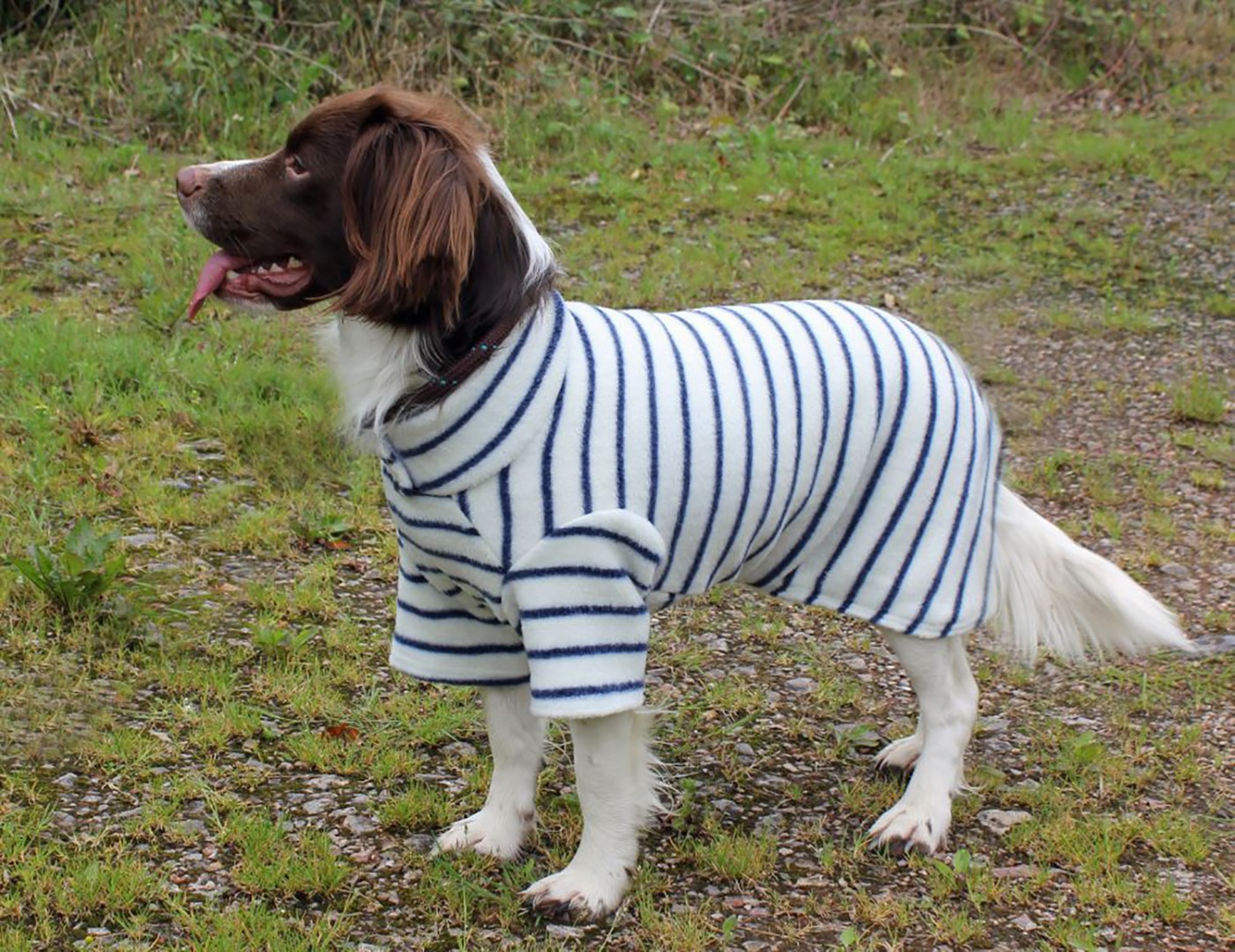 Warm Fleece Dog Coat/Jumper