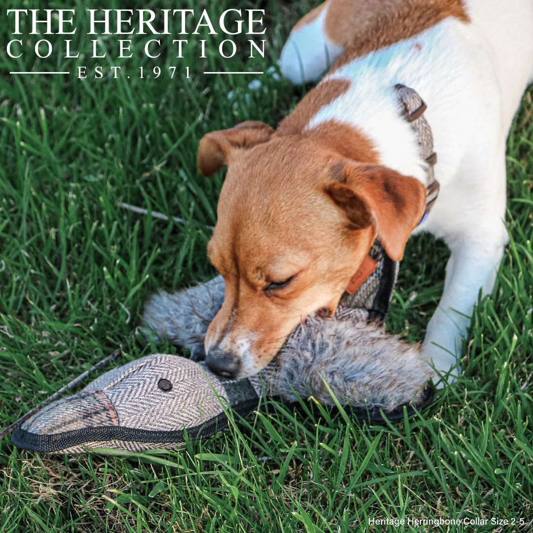 Heritage Toy Tweed Duck For Dogs
