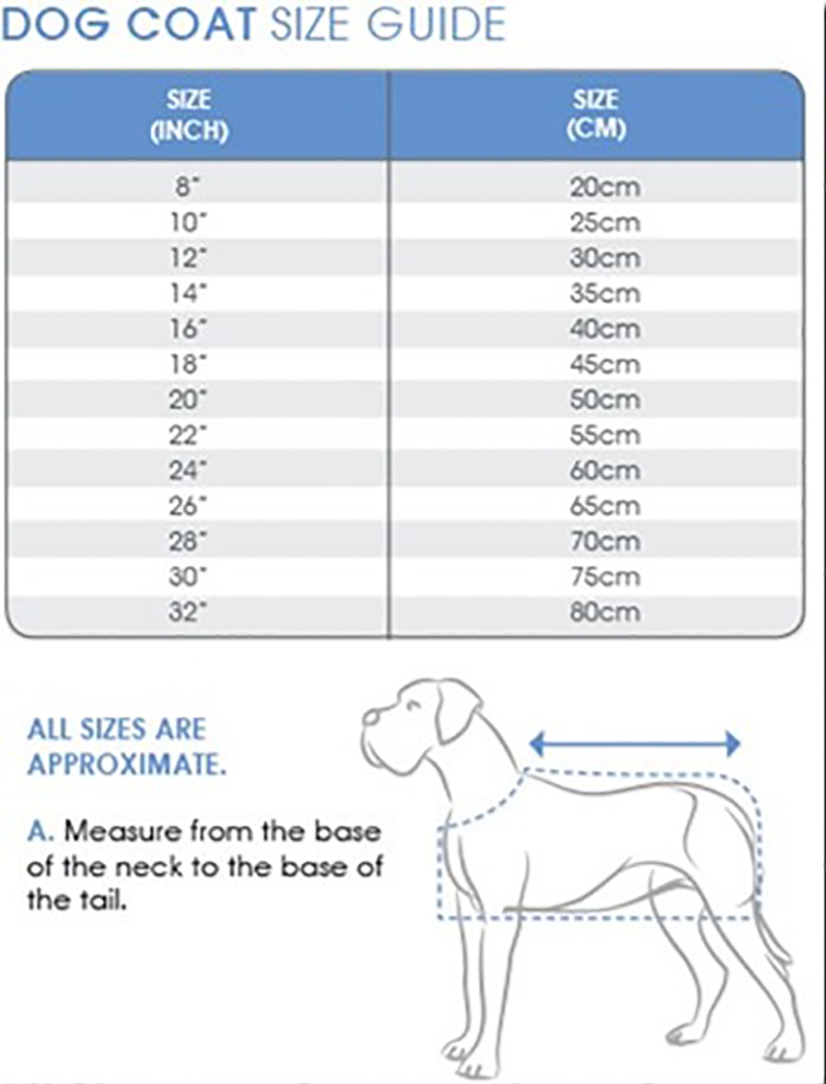 Hi-visibility Safety Dog Coat, designed specifically for the standard Dachshund
