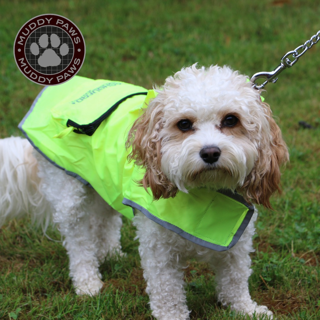 SPLASHGUARD Dog Coat with Reflective trim