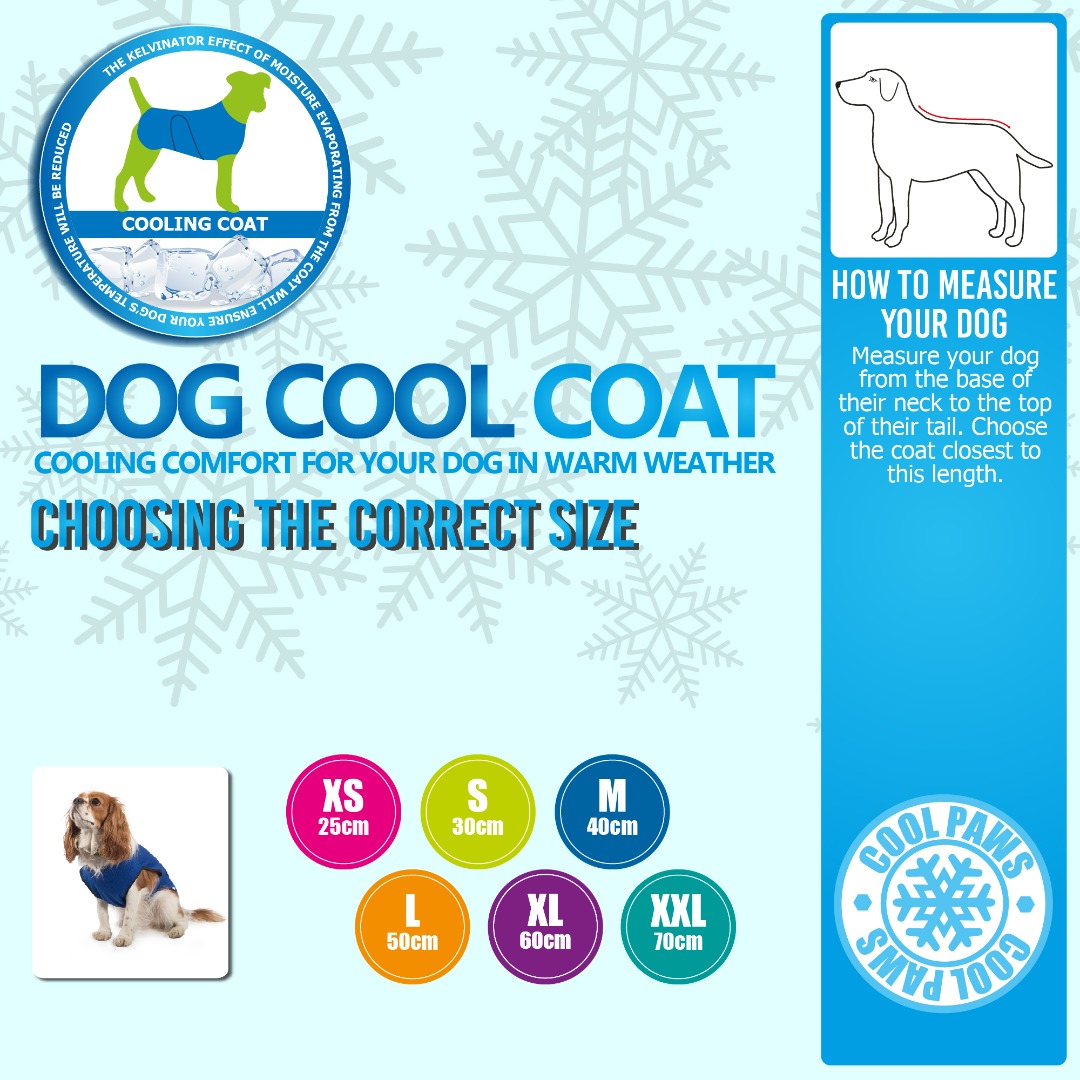 DOG COOLING COAT Blue 6 Sizes