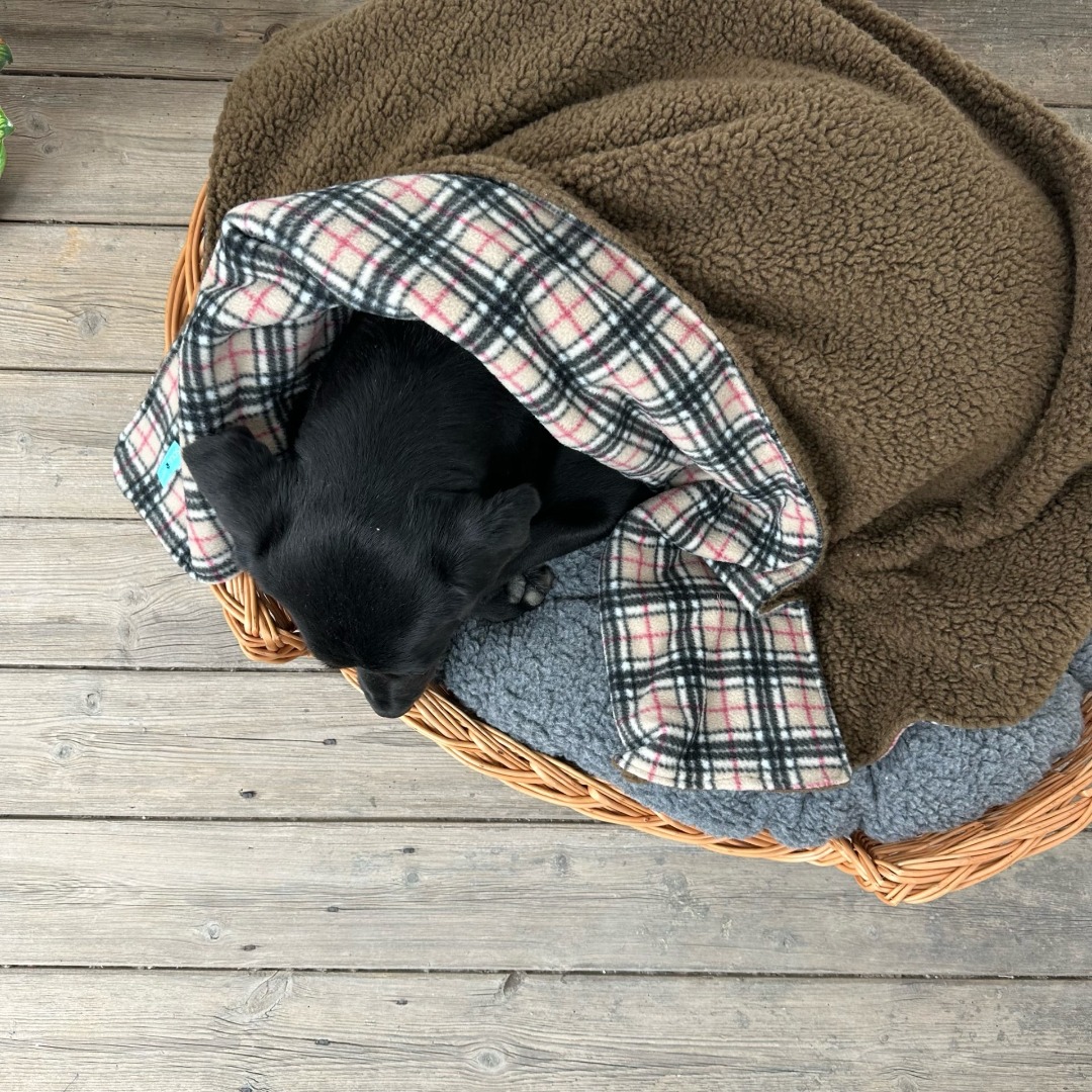 SoulPet Plush Country Tartan Fleece Dog Blanket Throw with Sherpa Fleece Back  in 3 Sizes
