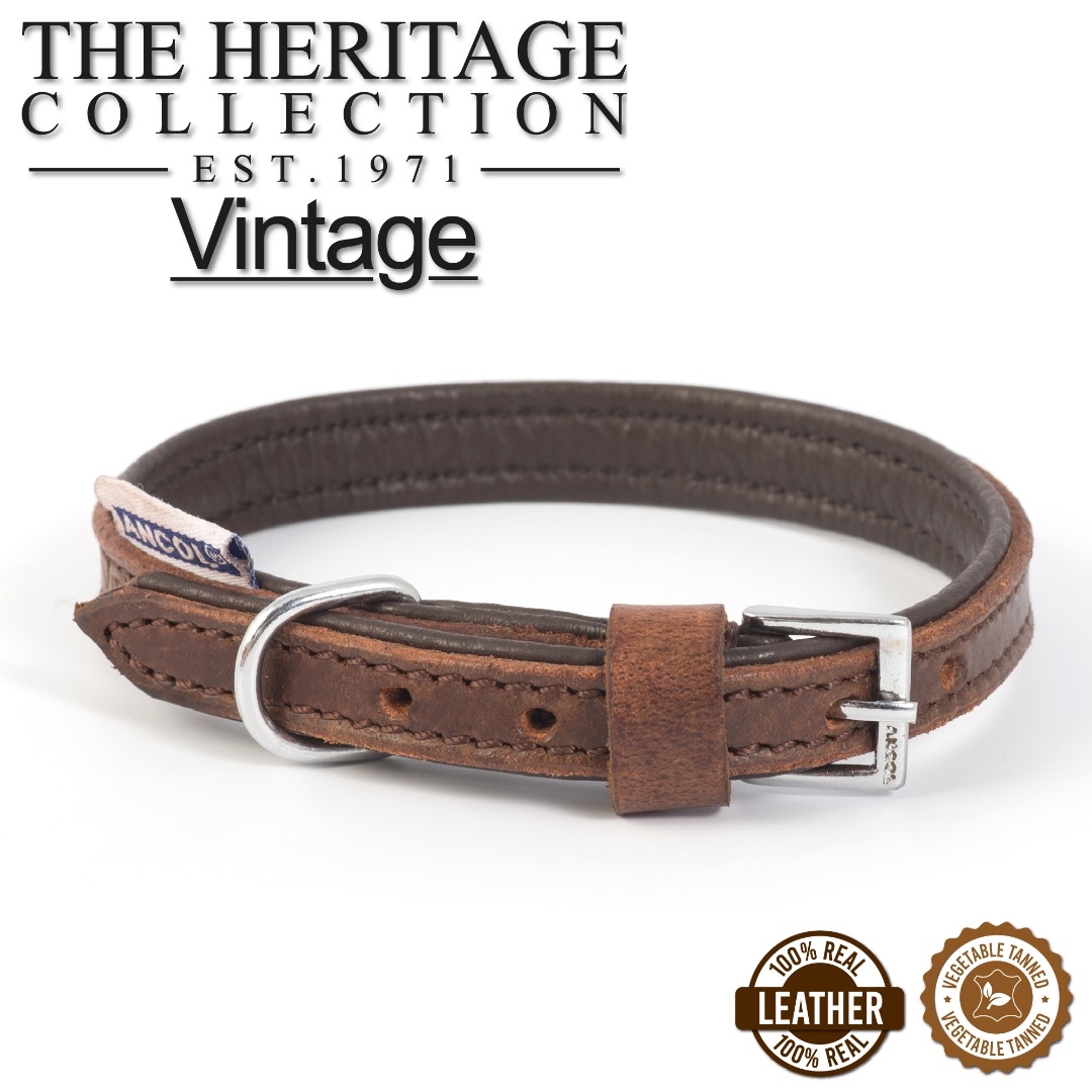 Ancol Vintage leather Padded Dog Collar