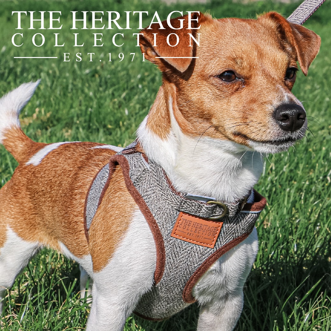 Ancol Heritage  Step in Dog Harness