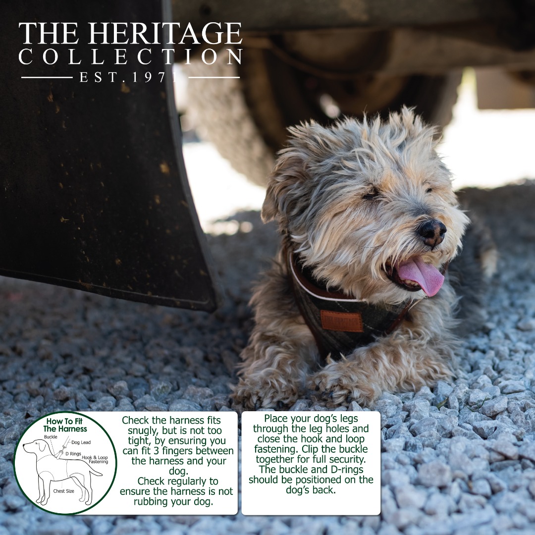 Ancol Heritage  Step in Dog Harness