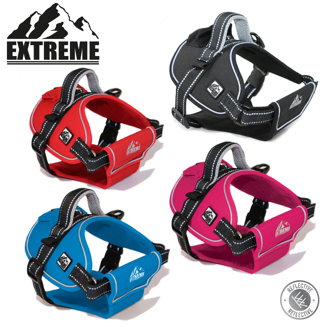 Ancol Extreme Durable Harness For Your Dogs Comfort Security