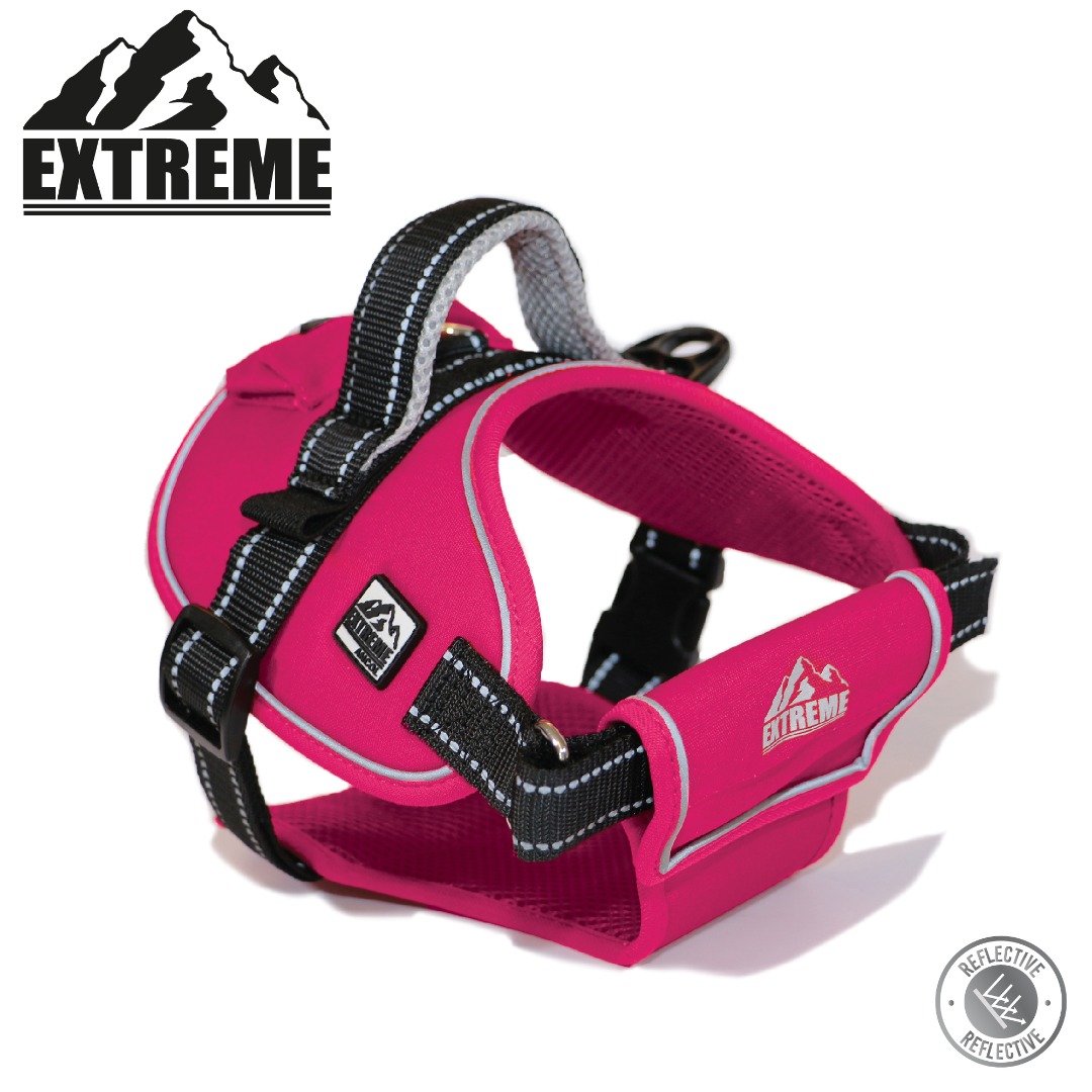 Ancol Extreme Durable Harness For Your Dogs Comfort & Security