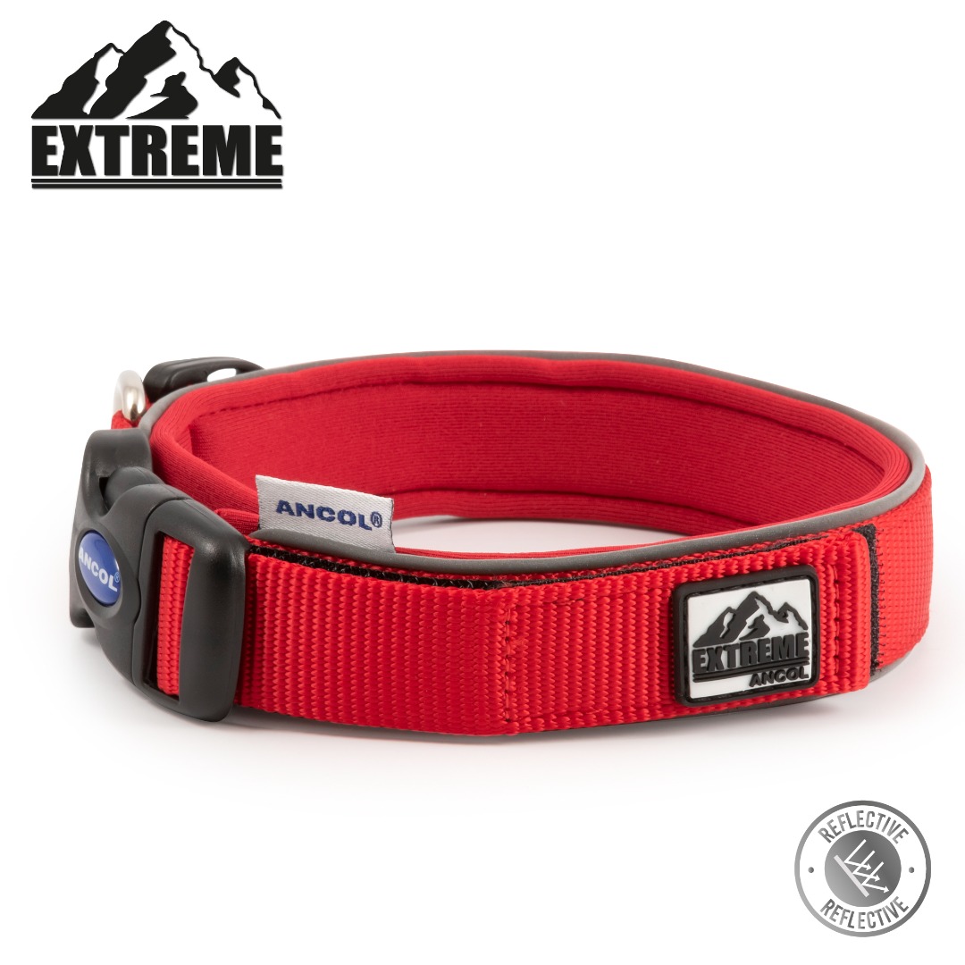 Ancol Extreme Dog Collar With Reflective Piping