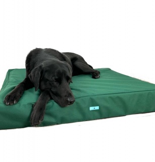 New Forest Green Waterproof Orthopaedic Dog Mattress 14cm Thick Firm Dog Bed