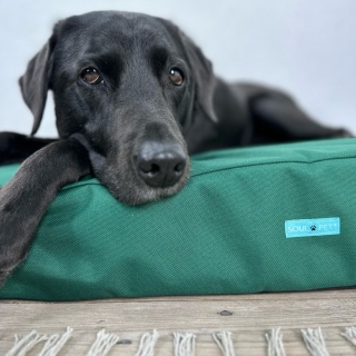 New Forest Green Waterproof Orthopaedic Dog Mattress 14cm Thick Firm Dog Bed