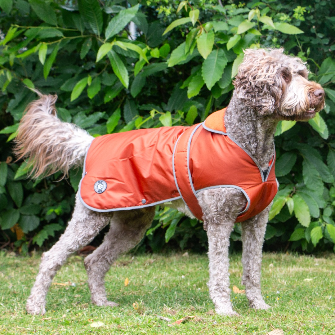 Ancol Muddy Paws Stormguard Terracotta Waterproof Fleece Lined Dog