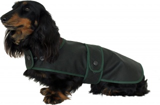 Water and Windproof Dachshund Hunter Coat tailored with Corduroy Collar
