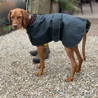 Traditional Hunter Green Waxed Dog Coat Made in England