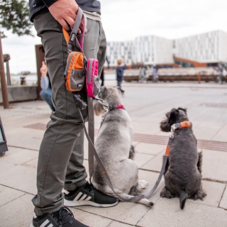 DOG Copenhagen Urban Trail Leash, 160cm