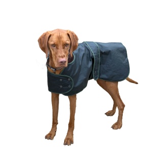 Traditional Hunter Green Waxed Dog tough waterproof and
