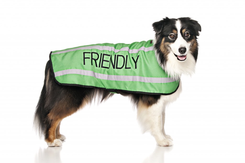 FRIENDLY DOG, Dog Coat. Dog awareness and Safety Coat, Green colour coded.