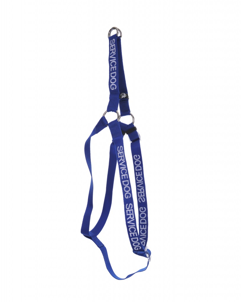 SERVICE DOG,  Dog Strap Harness Blue Colour Coded