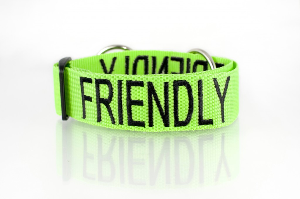 FRIENDLY DOG, Dog collar Semi Choke and Buckle Collars Green Colour Code