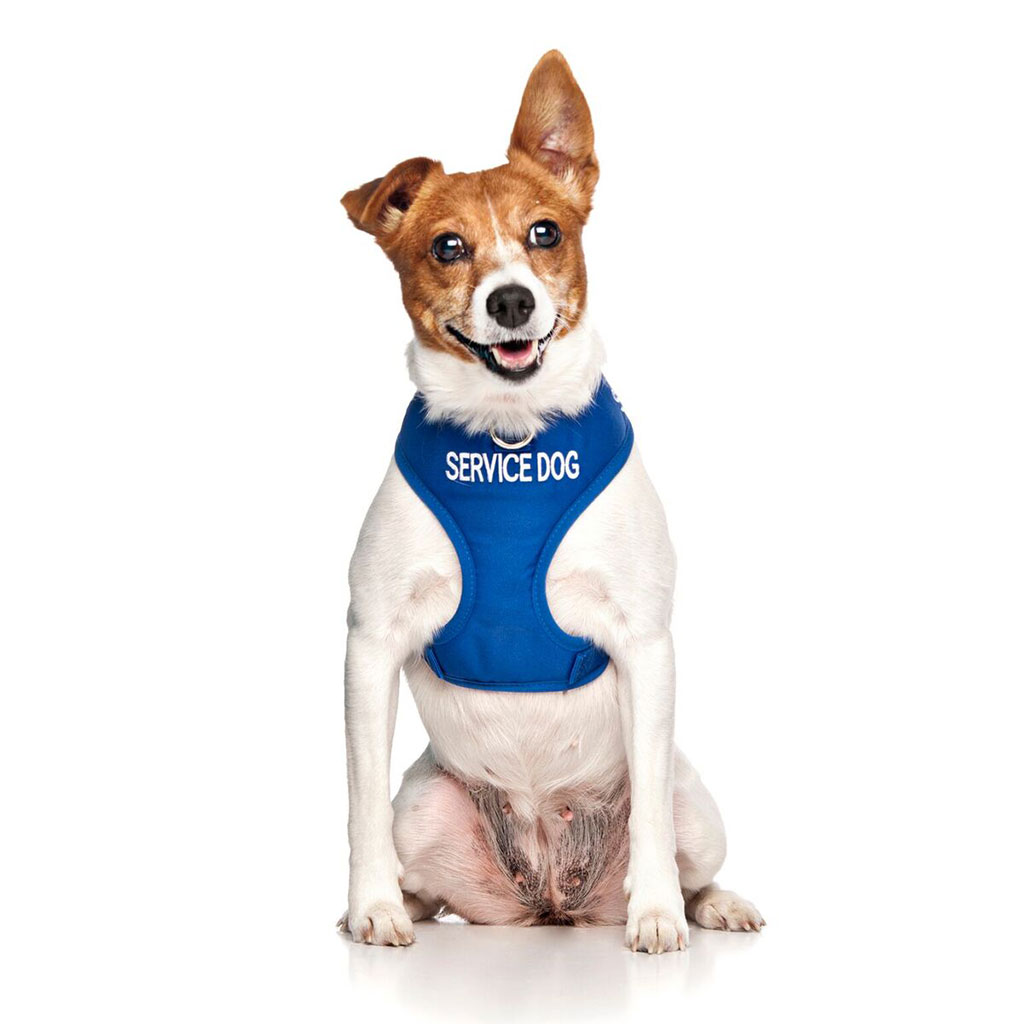 SERVICE DOG, Dog Vest Harness Blue Colour Code