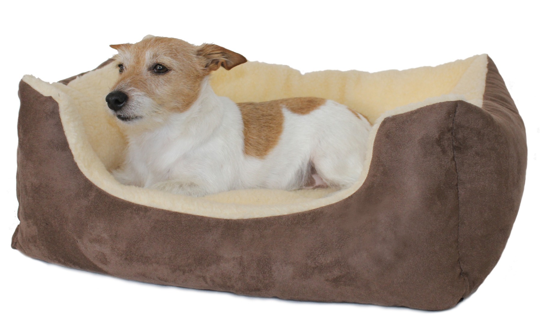 rectangle dog bed