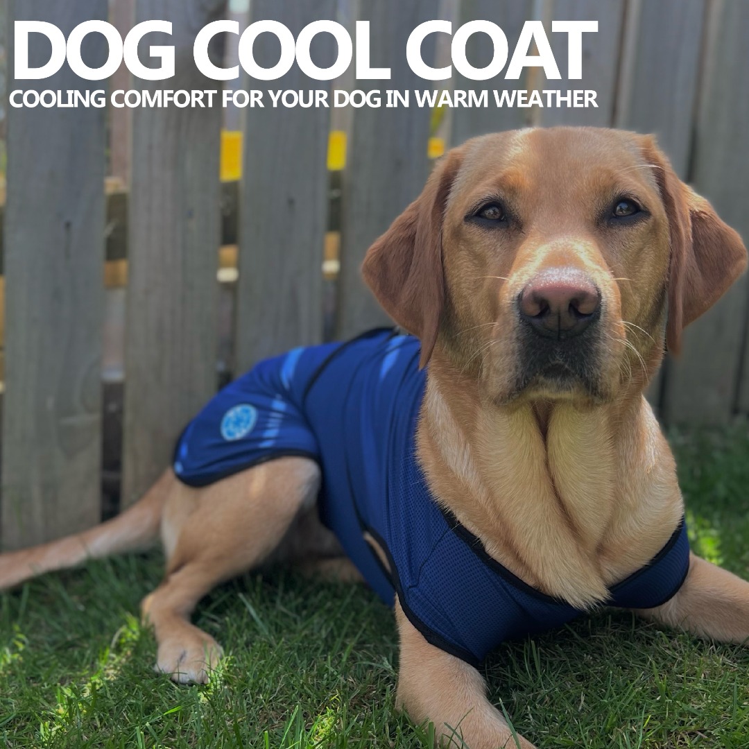 DOG COOLING COAT Blue 6 Sizes