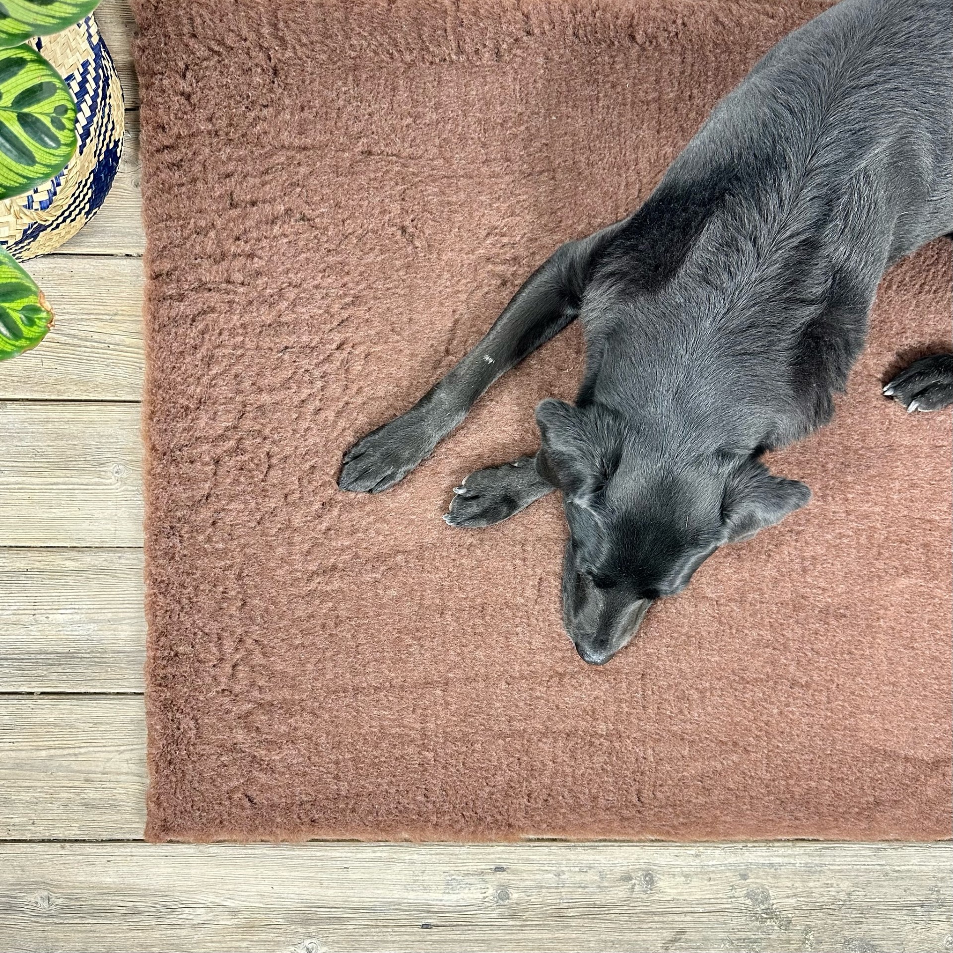 Brown Traditional vet bedding,vet bed cut in squares or rolls Dog